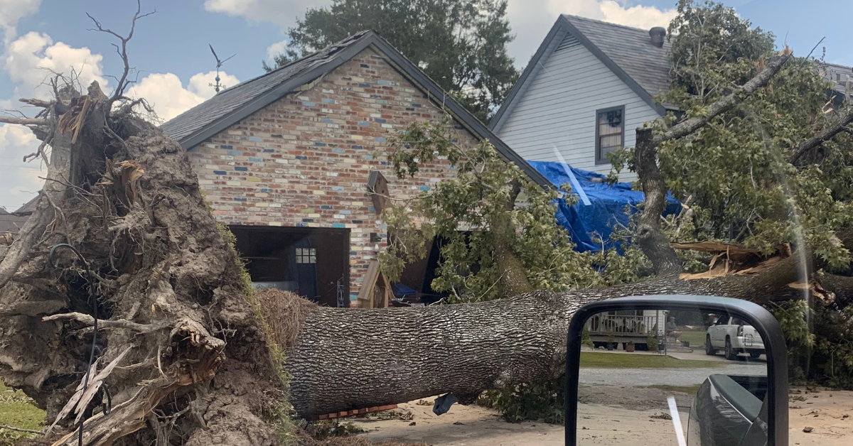 Emergency Tree Service | Lafayette, LA | 24/7 Fallen Tree Removal