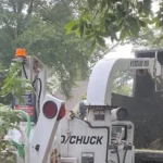 Licensed tree service crew using a crane to remove a hazardous tree near a Lafayette home
