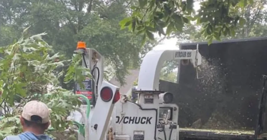 Licensed tree service crew using a crane to remove a hazardous tree near a Lafayette home