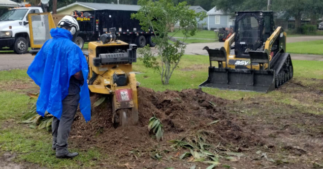 Stump Grinding and Stump Removal in Lafayette, LA